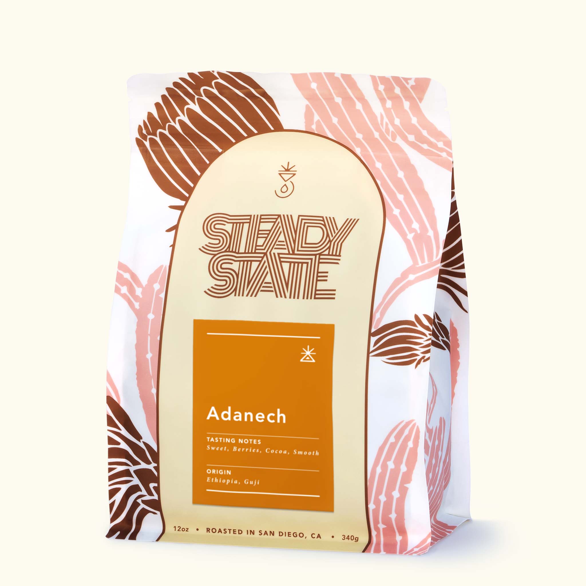 Adanech (Retail Case)